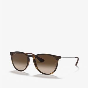 Ray Ban Erika Sunglasses